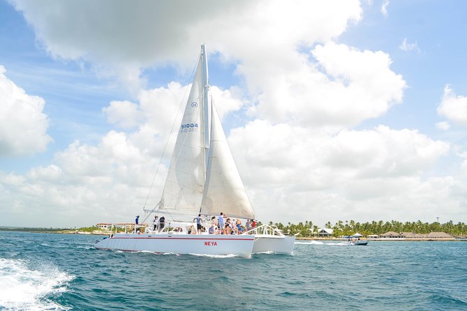 Saona Island Day Trip + Lobsters Included - Pickup, Transfers, and the Reality of Getting There