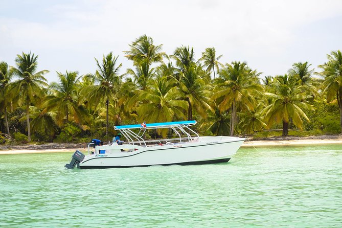 Saona Island Day Trip + Lobsters Included - Timing It Right: The 7:00 am Start and an 8 Hour Day