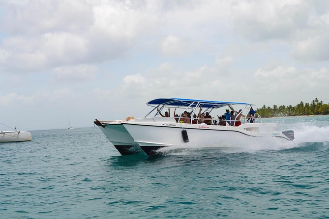 Saona Island Day Trip + Lobsters & Wine Included - Lunch, drinks, and the lobster and wine question