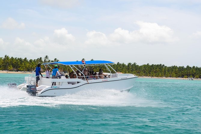 Saona Island Day Trip + Lobsters & Wine Included - Group size and pace: what max 60 feels like on a beach day