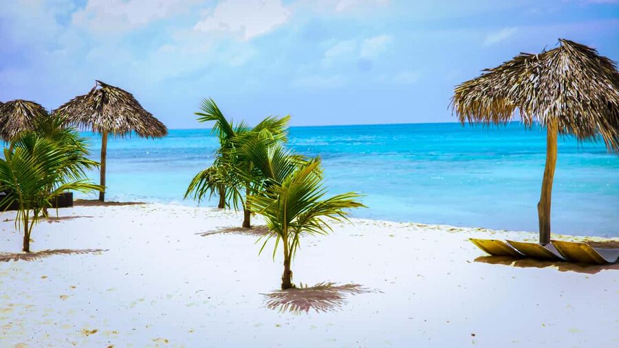 Saona Island Day Trip + Lunch + Open Bar from Punta Cana - Cultural music and guided moments: where it helps, where it might feel short