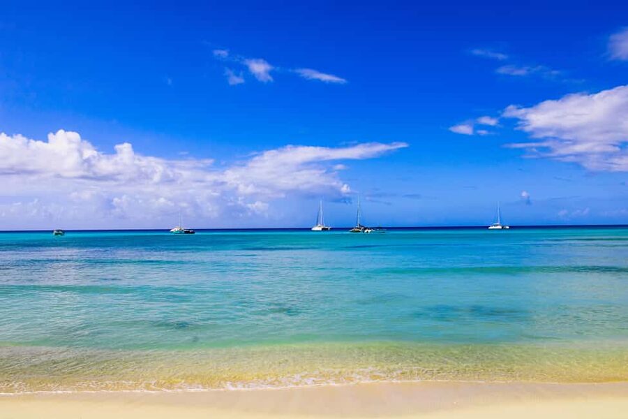 Saona Island Day Trip + Lunch + Open Bar from Punta Cana - Saona Island natural pool: starfish waters, short swim timing, and snorkeling