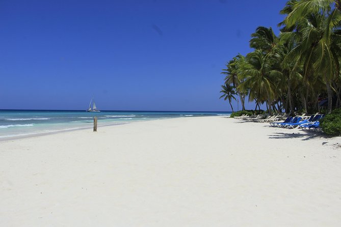 Saona Island Excursion From Punta Cana - Speed, swimming, and the return party on the ocean