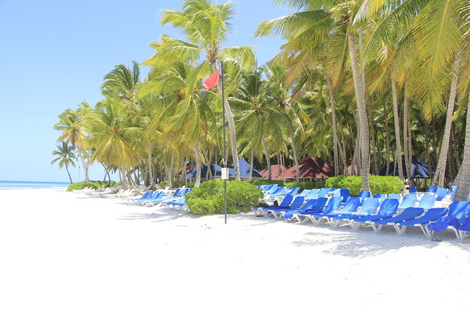 Saona Island Excursion From Punta Cana - Guides make the difference: Alex, Francisco, Benjamin, Christian, and more
