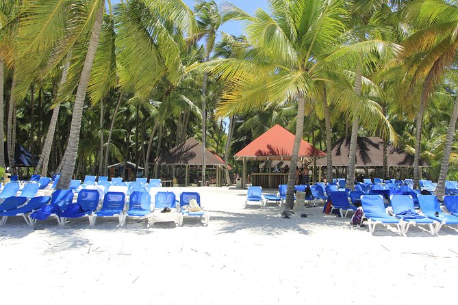 Saona Island Excursion From Punta Cana - Group size, comfort, and who should skip this trip