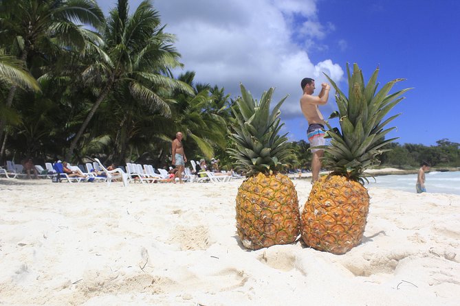 Saona Island Excursion From Punta Cana - Common hiccups to plan for, so you stay relaxed