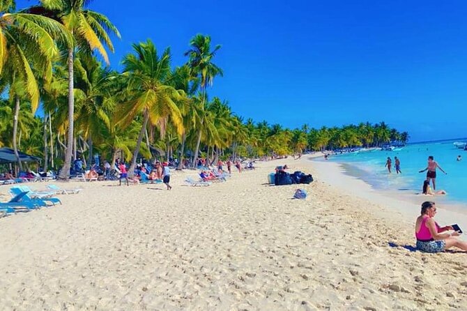 Saona Island from Punta Cana - Key highlights to know before you go