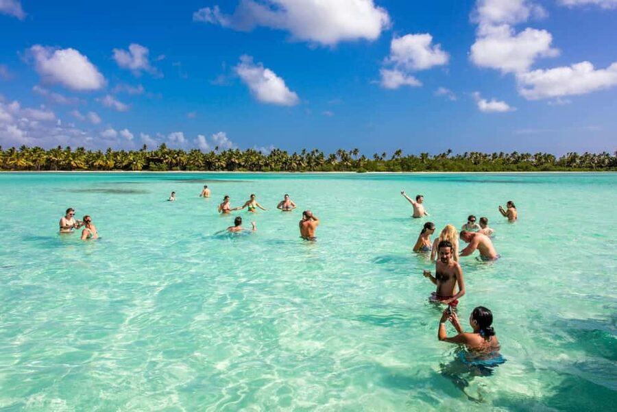 Saona Island from Punta Cana Day Trip with Open Bar - Saona Island from Punta Cana: the big picture