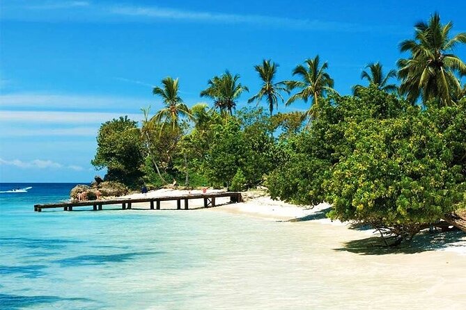 Saona Island from Punta Cana with Transportation and Lunch Included - Why Saona Island starts at Bayahibe