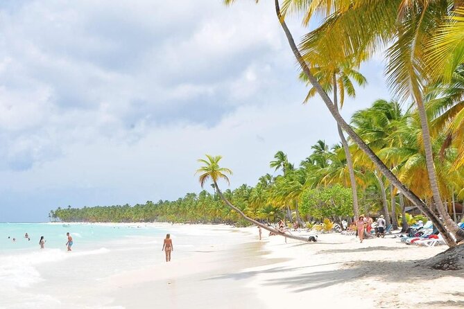 Saona Island from Punta Cana with Transportation and Lunch Included - Saona Island beach time and Dominican lunch by the water