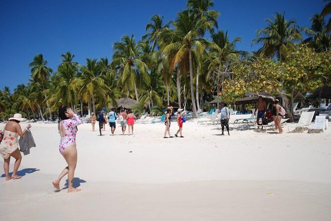 Saona Island Full Day Adventure From Punta Cana & Bavaro - From Punta Cana or Bávaro to Bayahibe: The Start Matters