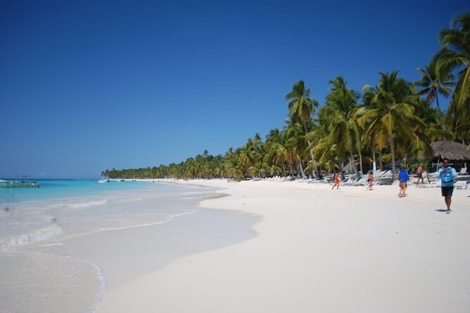 Saona Island Full Day Adventure From Punta Cana & Bavaro - The Lunch Setup: What’s Included, What to Expect