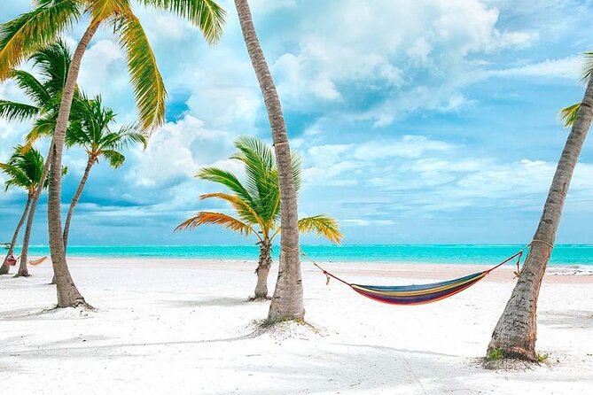 Saona Island Full Day Adventure From Punta Cana & Bavaro - Photo Opportunities and the Best Lighting Hours