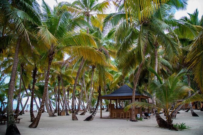 Saona Island Full Day Adventure From Punta Cana & Bavaro - Group Size, Comfort, and the Reality of Facilities