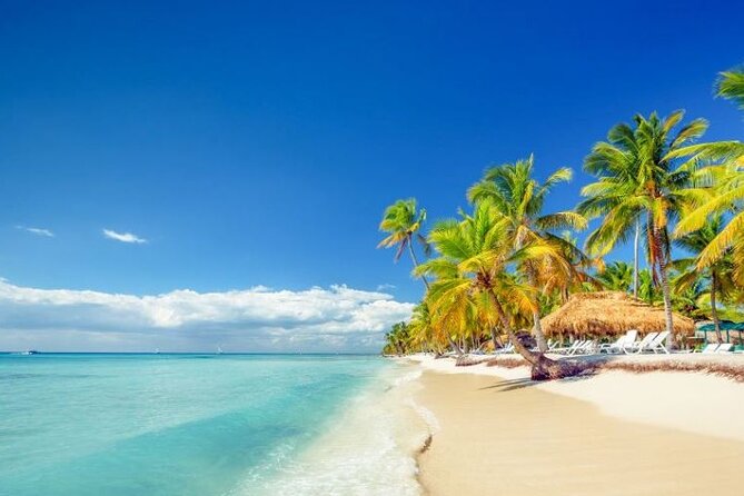 Saona Island Full-Day Excursion - Key things to know before you go