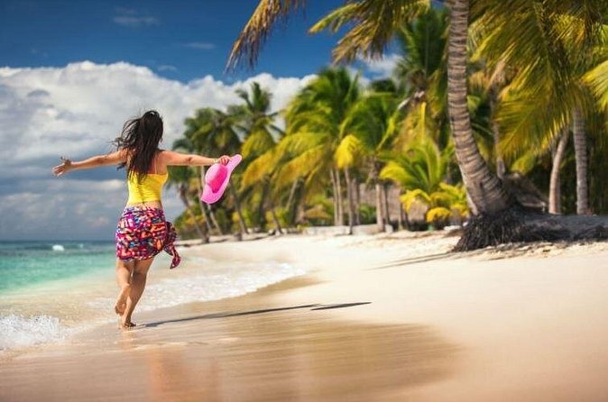 Saona Island Full-Day Excursion - Price and logistics: is $75 good value for Saona?