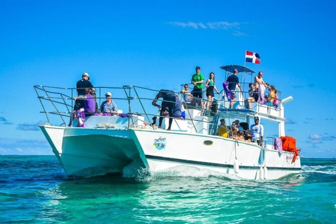 Saona Island Full-Day Excursion - Who this Saona day trip is best for