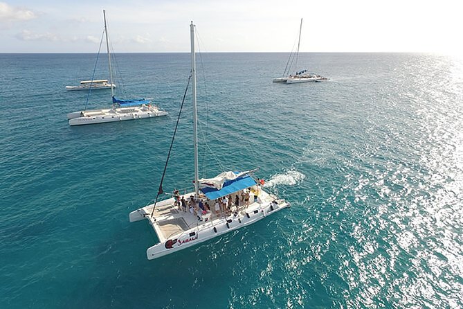 Saona Island Full Day Excursion from Punta Cana - Price and Value: What the $79 Saona Day Actually Includes
