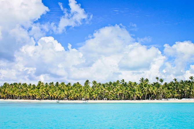 Saona Island Full Day From Punta Cana - Catamaran cruise, open bar, and the big photo window
