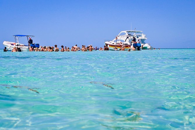 Saona Island Full Day From Punta Cana - Saona Island beaches plus buffet lunch on the sand