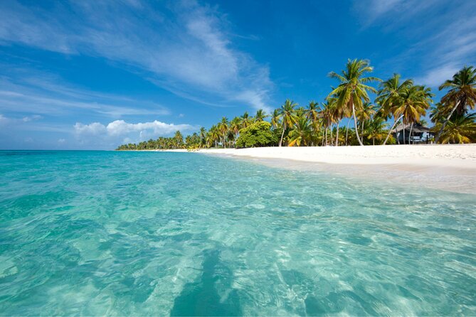 Saona Island Full-Day Tour from Punta Cana Bayahibe All Inclusive - Saona Island from Punta Cana and Bayahibe, what a full day really means