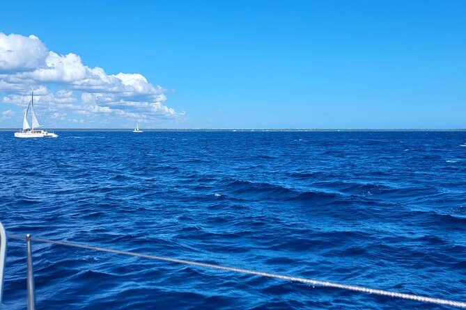 Saona Island Full-Day Tour from Punta Cana Bayahibe All Inclusive - Catamaran ride: the party mood, plus a possible dolphin moment