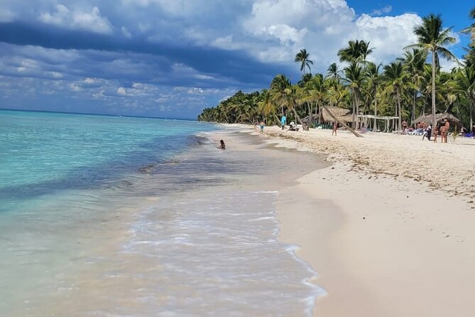Saona Island Full-Day Tour from Punta Cana Bayahibe All Inclusive - Group size and how that affects your beach experience