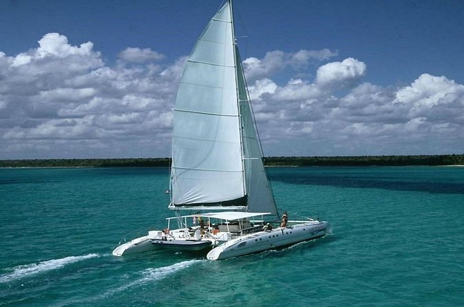 Saona Island Full Day Tour Lunch and Transportation Included - What to Expect on the Ground: Food, Drinks, and Vibe