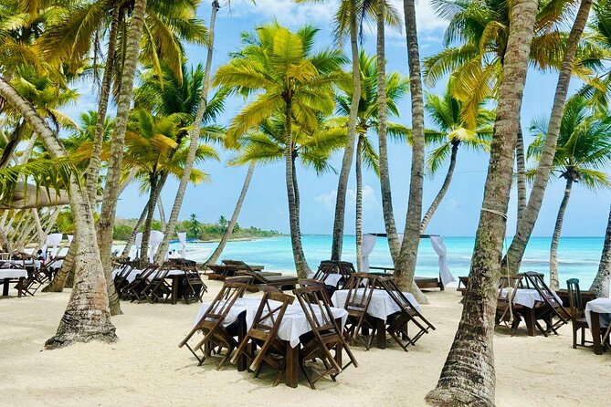 Saona Island Full Day Tour with Buffet Lunch, Paella, & Open Bar - Key points before you go