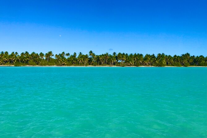 Saona Island Full Day Tour with Buffet Lunch, Paella, & Open Bar - Open Bar Throughout the Tour, and How to Make It Work