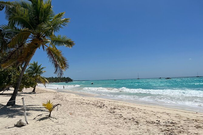 Saona Island Full Day Tour with Buffet Lunch, Paella, & Open Bar - Price and Value: Is $75.05 Worth a Full-Day Island Break?