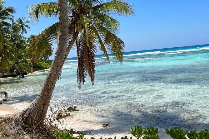 Saona Island Full Day Tour with Buffet Lunch, Paella, & Open Bar - Group Size, Timing, and What the Day Feels Like