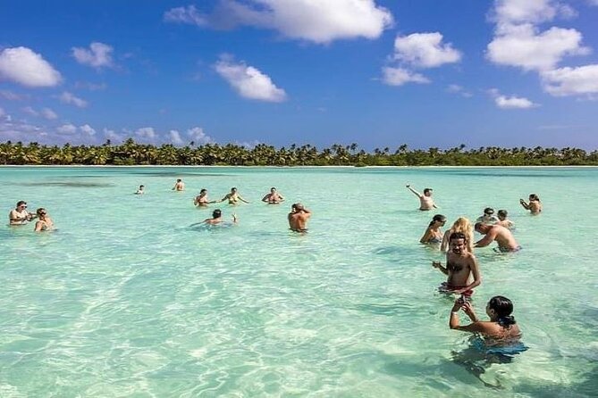 Saona Island Full-Day Tour with Lunch from Punta Cana - Saona Island From Punta Cana, What Makes This Day Feel Worth It