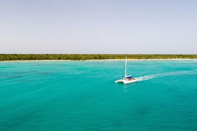 Saona Island Full-Day Tour with Lunch from Punta Cana - Pickup, Ports, and the Catamaran-to-Speedboat Plan