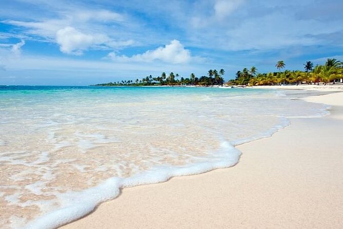 Saona Island Full-Day Tour with Lunch from Punta Cana - Crowd Reality and What to Do if You Want a Calmer Day