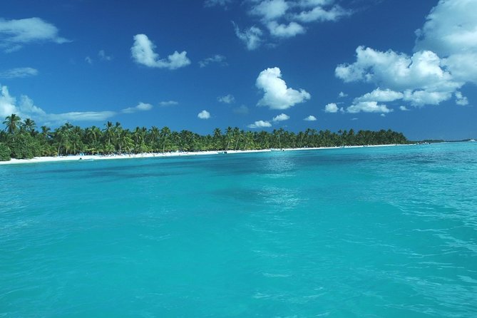 Saona Island Full-Day Tour with Lunch from Punta Cana - Lunch by the Sea, Buffet Reality, and the Open Bar Notes