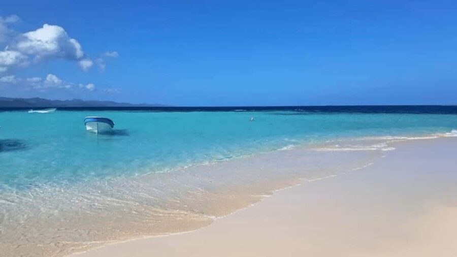 Saona Island: Hidden Beach & Natural Pool - Price and What You Truly Get for $59