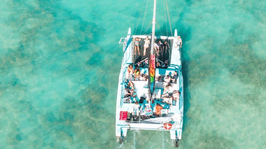 Saona Island: Hidden Beach & Natural Pool - The Hidden Beach Stop: Swim, Wade, and Look for Life