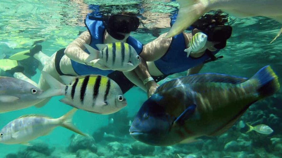 Saona Island: Hidden Beach & Natural Pool - Lunch by the Shore: Dominican Buffet That Actually Fills You