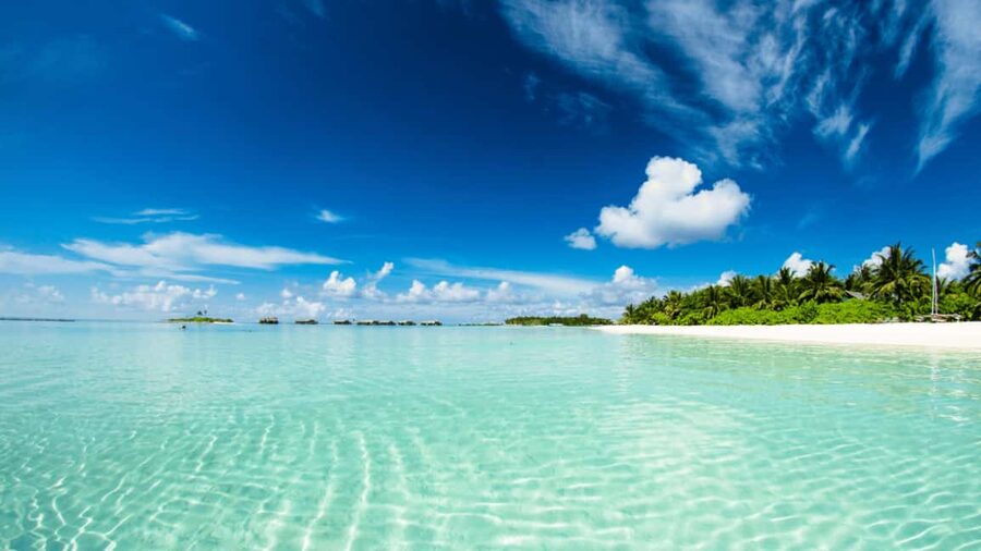 Saona Island: Hidden Beach & Natural Pool - Language and Guide Reality: Expect Multiple Languages