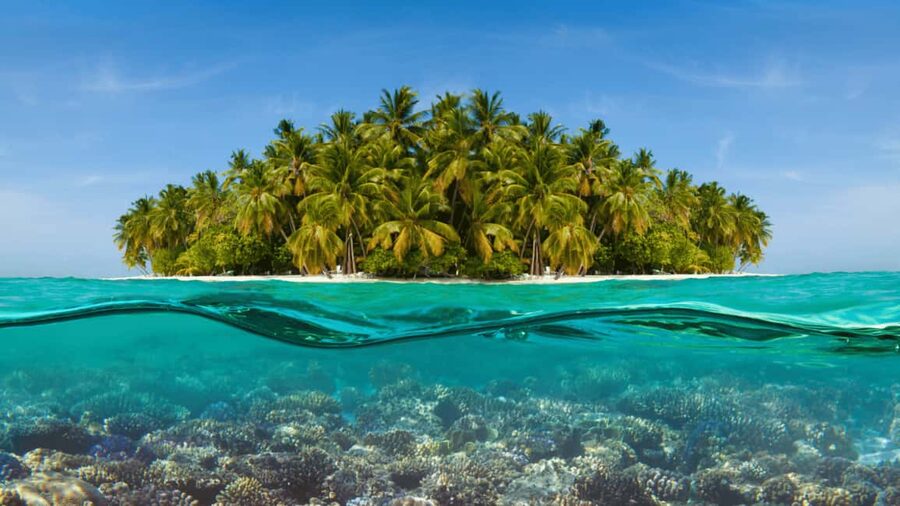 Saona Island: Hidden Beach & Natural Pool - The Pickup Plan from Punta Cana, Bávaro, and Uvero Alto