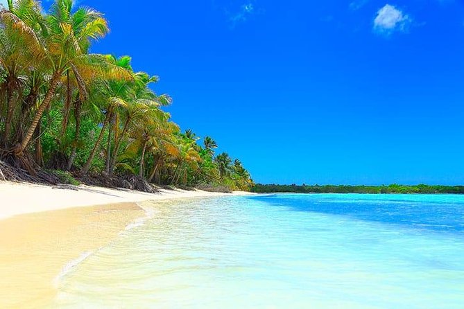Saona Island Paradise Full Day - all inclusive. From Punta Cana & Bayahibe - Lunch at 1:00 pm, plus what all-inclusive means here