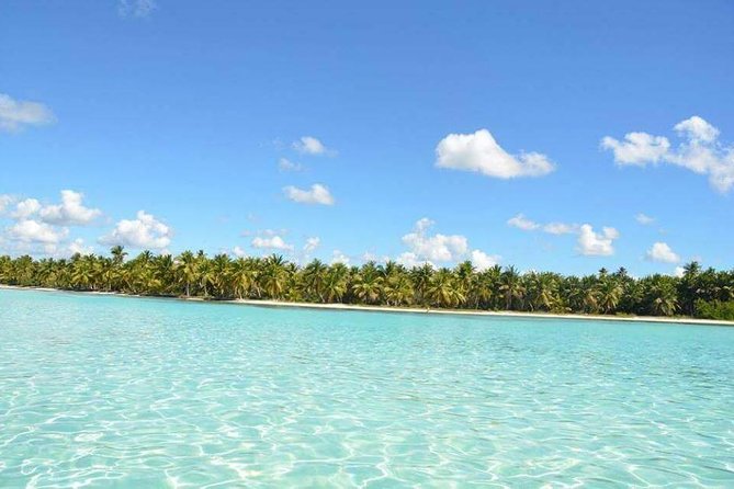 Saona Island Private +8 People Platinum Transfer - Snorkeling Stop: The Included Water Time You’ll Actually Want