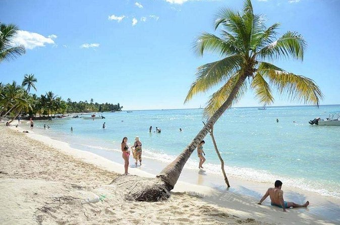 Saona Island Private +8 People Platinum Transfer - Private for Your Group of 10 to 15: Why It Feels Less Crowded