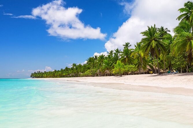 Saona Island Private Boat Tour with Lunch and Beverages - Key things that make this Saona tour work