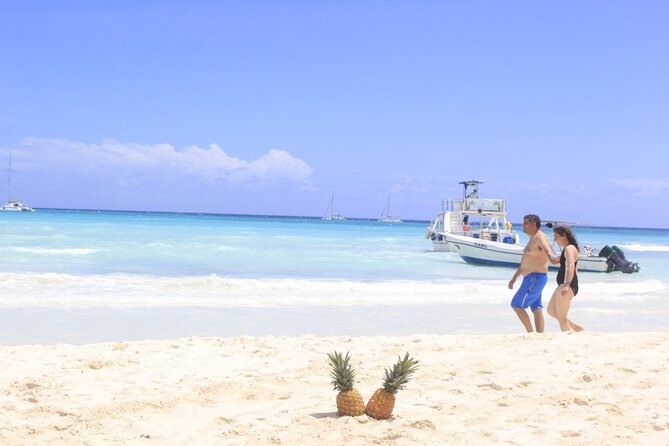 Saona Island Private Boat Tour with Lunch and Beverages - What private boat time really buys you on this tour