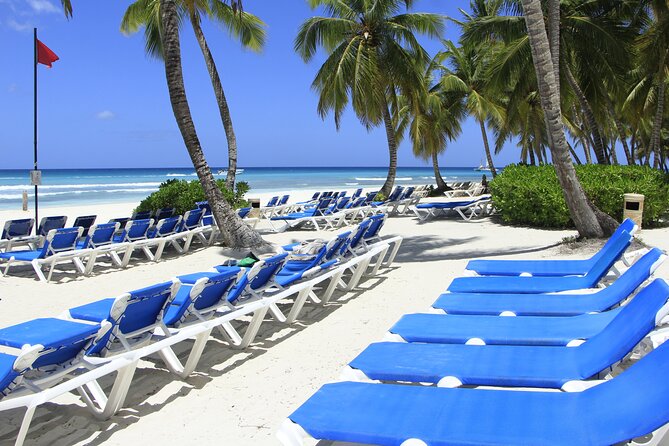 Saona Island Private Boat Tour with Lunch and Beverages - Saona Island beach time, lunch, and the open bar setup