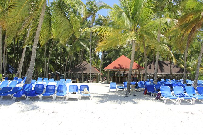 Saona Island Private Boat Tour with Lunch and Beverages - Price and value: what $680.44 gets you for up to 6