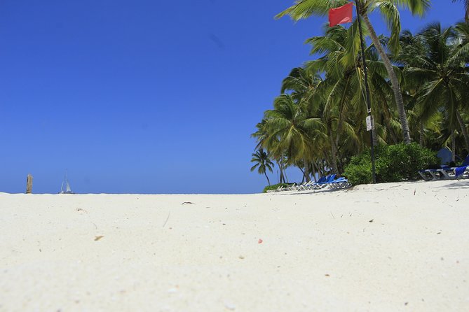 Saona Island Private Boat Tour with Lunch and Beverages - Weather and sea conditions, and how to handle plan changes