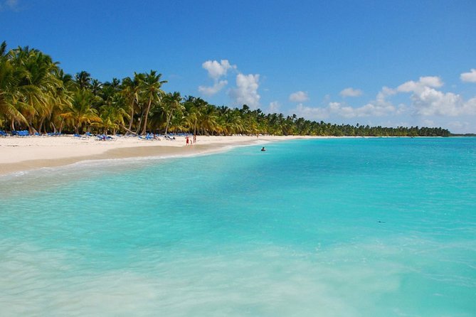 Saona Island Private Boat Tour with Lunch and Beverages - The 6:30 am dock meeting and the ride out to Saona
